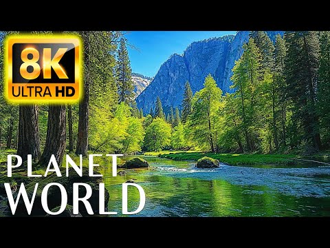Nature Relaxation Film 8K • Beautiful Scenery, Relaxing Music & Nature Sounds in 8K ULTRA HD