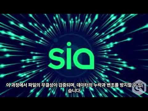 시아 코인의 향후 전망에 대해 알아보자.