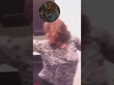 #funnymemes #funny #memes #song #whatchthis