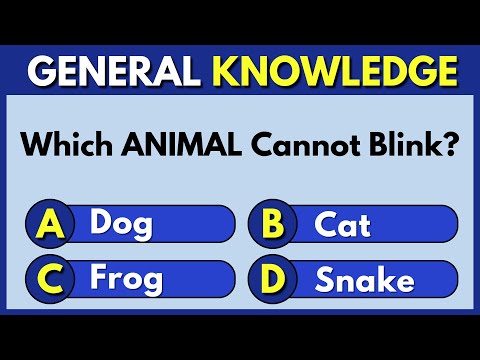 Can You Beat This Brain-Busting General Knowledge Quiz?