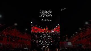 عباس، ماه لشکر حسین استدل‌بسته‌ی دلبر حسین است#یا_حسین#یا_عباس#کربلا