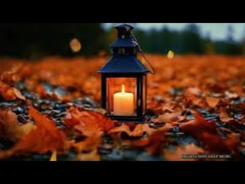 Meditation Deep Music 's Live broadcast