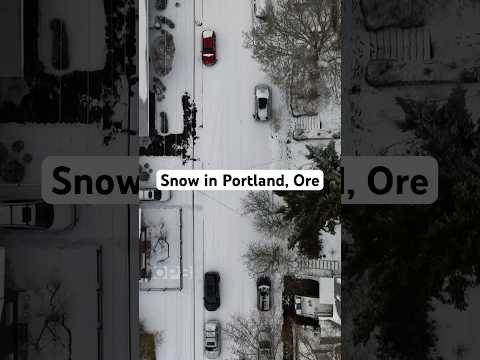 ❄️ Portlanders out in the snow Thursday and Friday 🧊