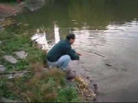Fishing in Central Park (1)