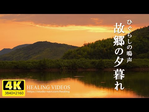 [Healing/ASMR] Dusk in my hometown/The sounds of cicadas