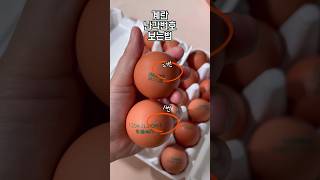 🥚계란살때 요거 확인하세요 #계란고르기 #계란난각번호 #유정란 #동물복지란