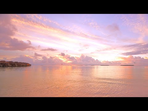 Heaven on Earth: Maldives & Ocean Waves 4K 60FPS Dolby Vision