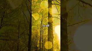 Law of Attraction Affirmations #shorts #lawofattractionaffirmations