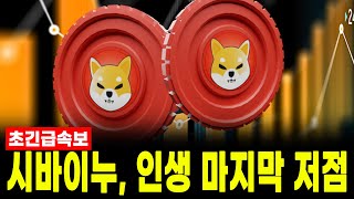[시바이누 전망] 시바이누를 저점에서 매수할 수 있는 인생 마지막 기회! #업비트시황 #코인시황 #급등코인추천 #시바이누대응