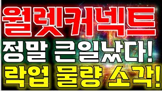 [월렛커넥트 전망] "이제 시작입니다!!"
