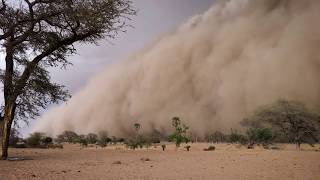 迫りくる砂嵐｜Impending Sandstorm