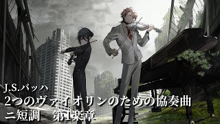 2つのヴァイオリンのための協奏曲ニ短調 第1楽章 / J.S.バッハ(演奏：Seraph Dazzlegarden)