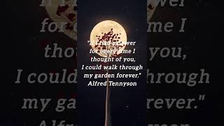 Love qoutes... #beautifullovesongs #lovesongscollection #music