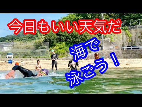 プール開くまであと１週間！まだまだ海練習！