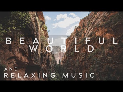 Relax with a Beautiful World | Wellness and Sleep Music for You