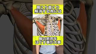 60分マッサージより100倍効く！肩こり首こりを10秒激痛マッサージで解消する　#shorts