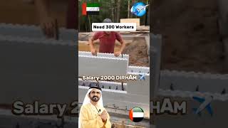Dubai New jobs update #dubai #dubaimall #dubaijobs #dubaijobseekers #dubaijobs