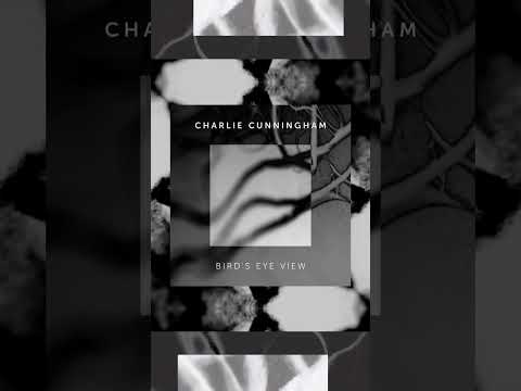 Charlie Cunningham - Bird's Eye View