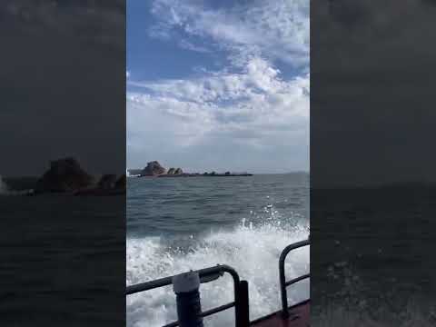 한국 서해바다 주꾸미낚시 배낚시 South Korea West sea boat fishing
