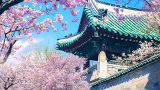 [Playlist] 봄에 듣기 좋은 설렘 가득한 피아노연주곡 플레이리스트🌸 Spring Piano Music / Instrumental Music