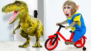 KiKi Monkey challenges showing Incredible Riding a Bike skill to take Honey Jelly | KUDO ANIMAL KIKI