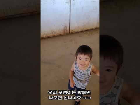 말타러가요!! #미국시골 #와이오밍