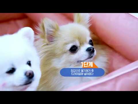 펫스니즈 드라이룸 B&A