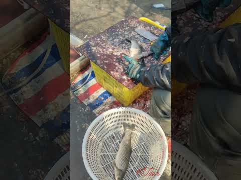 চায়নার বাজারঘাট// China shop// china market//KTour