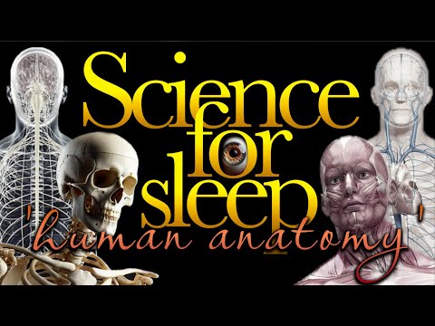 💤Science For Sleep💤'The Human Body'💤Bedtime Story For Grown Ups💤Sleep Story
