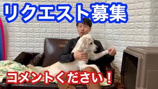 次の曲＆リクエスト募集！｜K2のピアノ練習