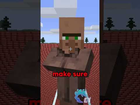 Minecraft, If Villagers Were Over Protective…