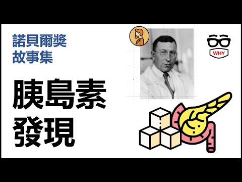 糖尿病救星-胰島素的發現｜弗雷德里克班廷與胰島素 |壞壞諾貝爾獎故事集|Doctor J今晚說故事
