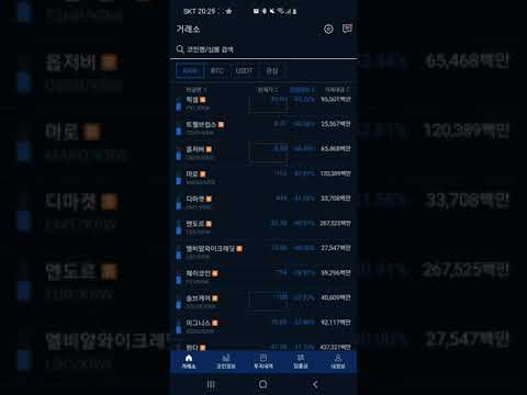 김치코인 잡코인의 최후