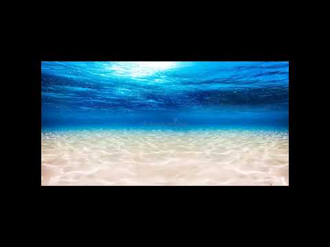 Avatar: The Way of Water movie review