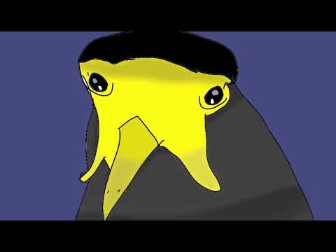 Noot Noot but Plover