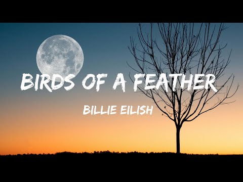 Billie Eilish - BIRDS OF A FEATHER (Lyrics)