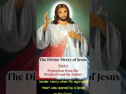 Divine Mercy of Jesus - Part 9 | #shorts #divinemercy #jesus #short