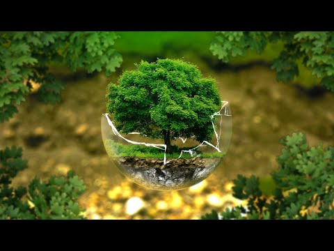 Relaxing Deep Sleep Music-Relaxation Music, Sleeping Music, Meditation, Calm mind Music, chill music