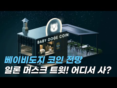 베이비도지 코인 전망, 일론 머스크 트윗! 어디서 사?