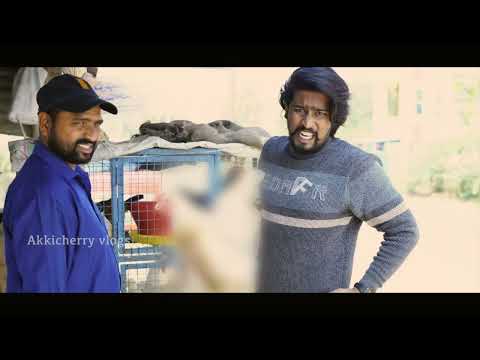 Chicken comedy videos 😂 || Akkicherry || Telugu || entertainment
