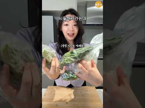 죽어가는 야채들 다 꺼내오세요