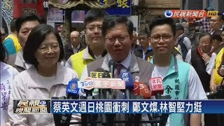 民進黨總統初選民調6/10開跑！ 黨內紛紛選邊站－民視新聞