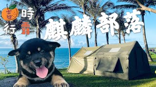 #台東麒麟部落露營區/無法取代的海景/台東藍&太平洋/海邊系露營/寵物露營/第11露/天氣很熱海風很涼/白噪音很紓壓/夏天還是要露營/星空很美