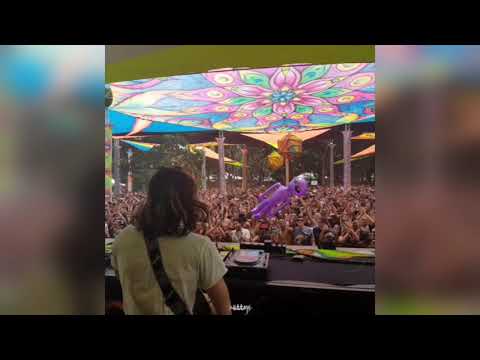 pettra live - hipnotrance brazil 2019