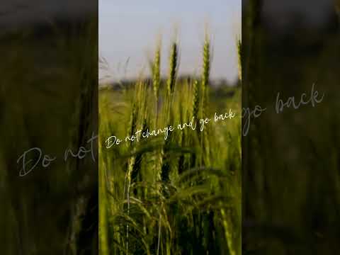 We Have Freedom Now (Galatians 5:1-6) Scripture in Song