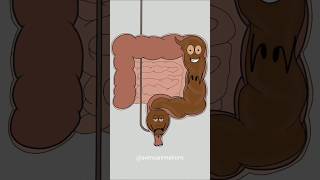 how poop system works! 🤣😂 (best animation memes) #shorts