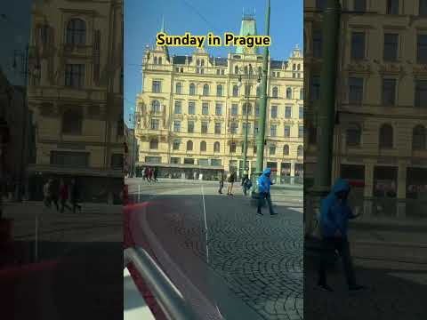 Sunday Tram Ride | February 16, 2025 #winter #czechrepublic #prague