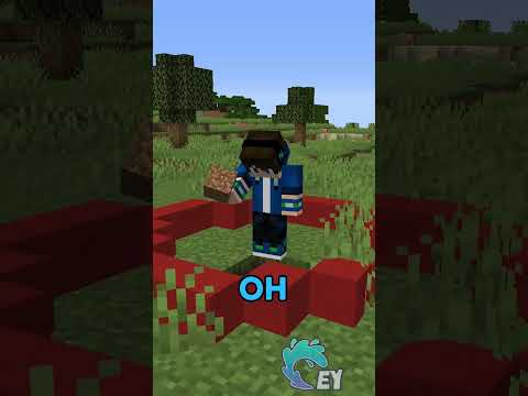 Minecraft, But the Circle Is Controlled By You…