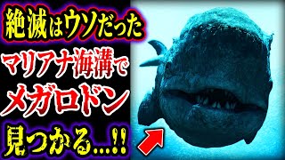 【ゆっくり解説】やはり絶滅はウソだった…!! マリアナ海溝でメガロドン見つかる…!? 決定的証拠がヤバすぎる…!!!【古代生物】