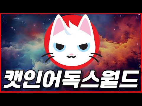 캣인어독스월드 눌림을 기다려야하는 이유